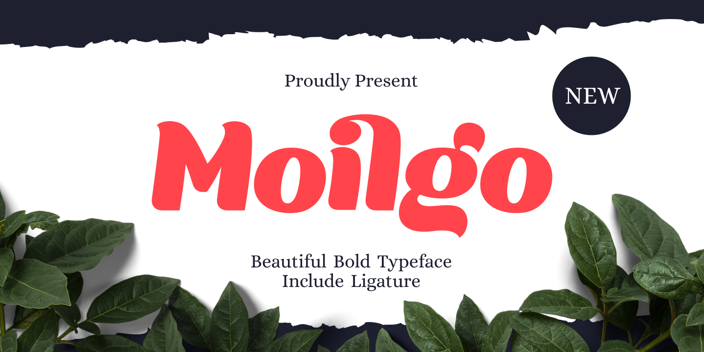 Moilgo Regular Font preview